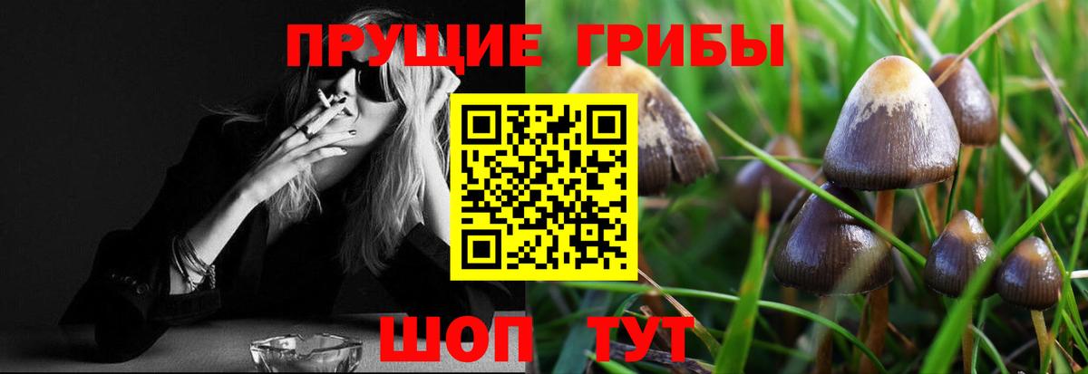 Псилоцибиновые грибы ЛСД Гай